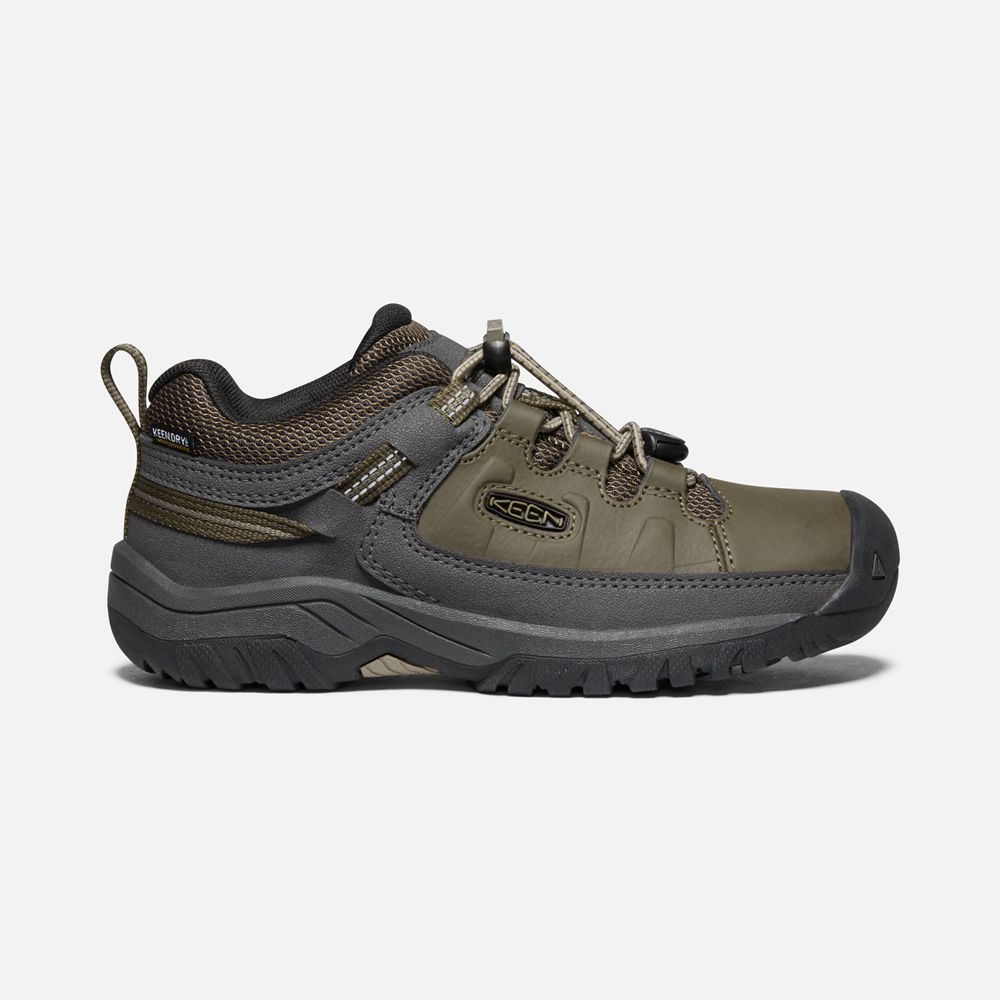 Zapatos de Seguridad Keen Mexico Verde Oliva - Niños Targhee Waterproof - DR3926140